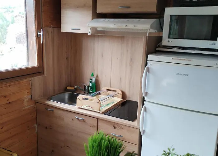 Appartement 8/10 couchages la foux d\'allos.